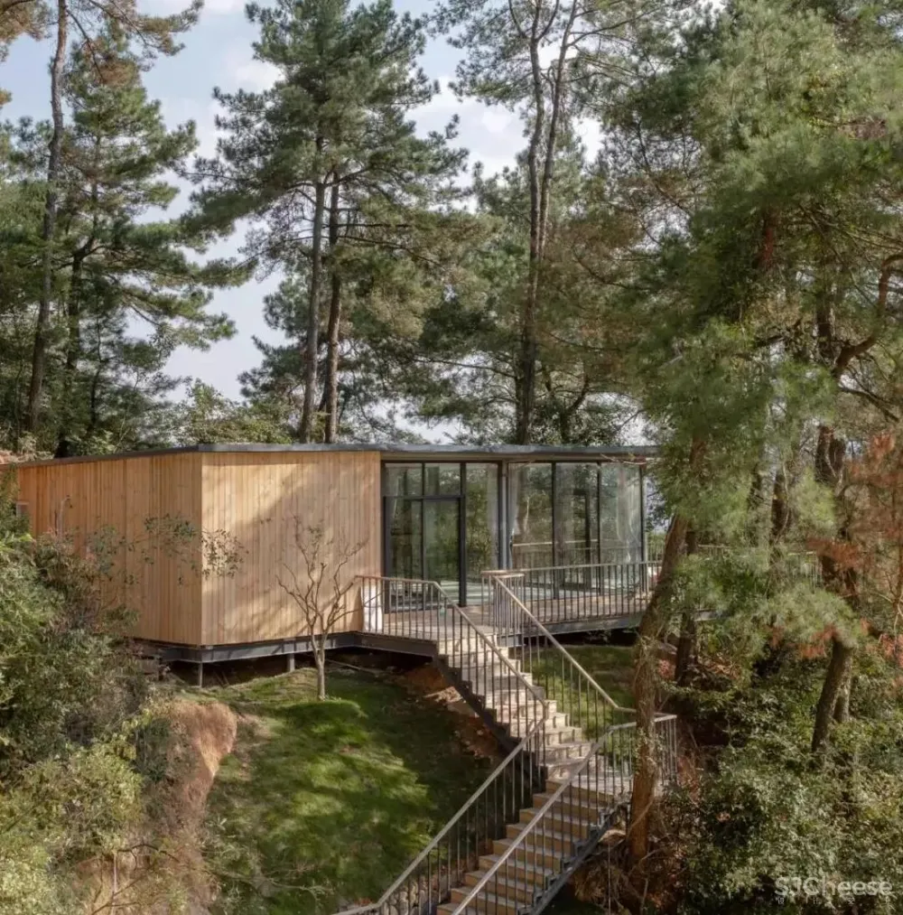 高铁仅0.5h,中国版「濑户内海」凭什么吸引年轻人疯狂打卡?