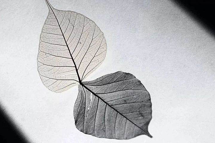 为什么现代侘寂，越来越受欢迎？