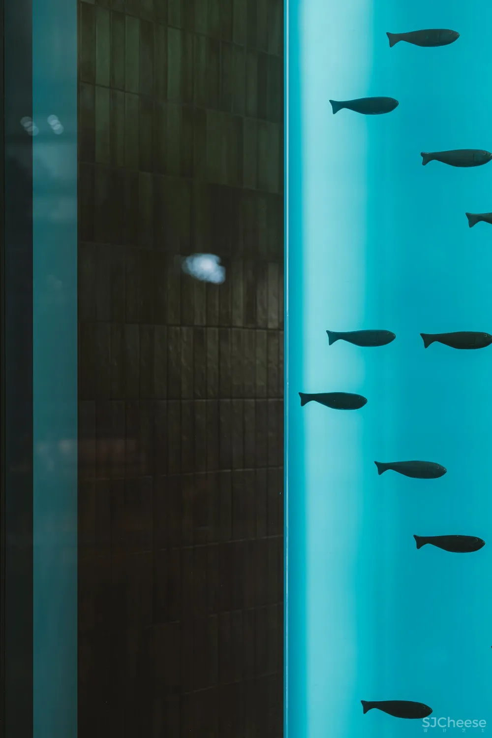 BUCK.STUDIO的MARTIM餐厅将葡萄牙的味道带到弗罗茨瓦夫