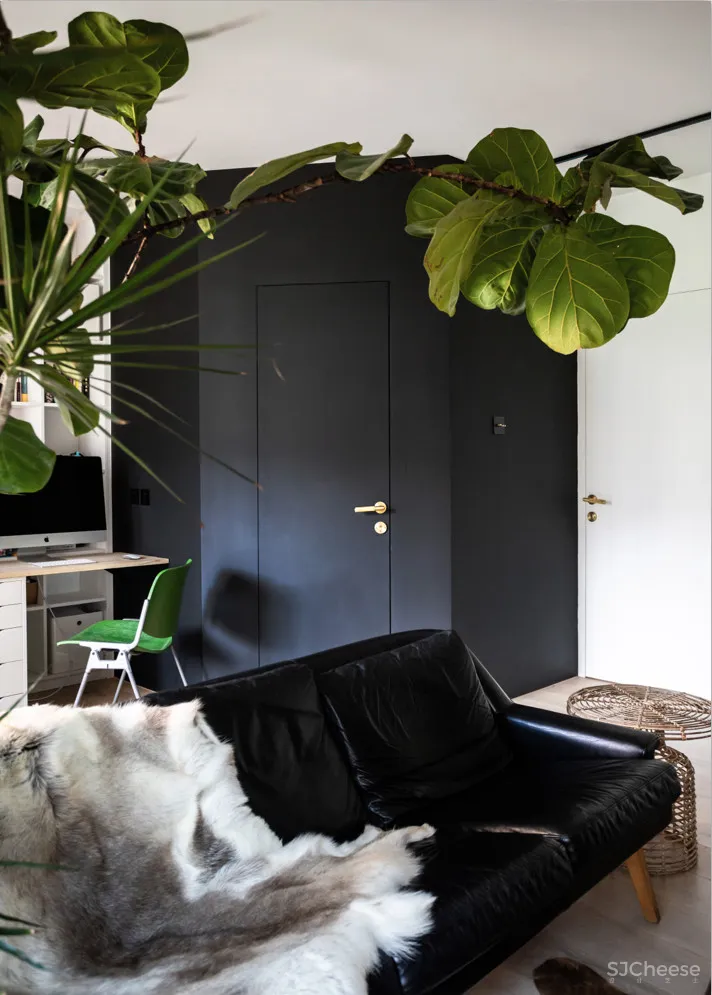 北京姑娘的63m²一室,满是植物标本、墨绿色彩!网友直呼:有仙气!