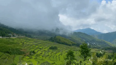 新挖到的隐秘玩水地, 直接睡入山溪间! 还原宫崎骏动漫里的夏天, 秒回无拘束童年时光