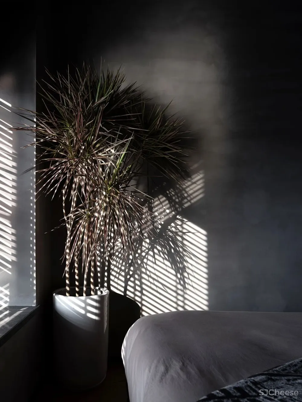 226m² 设计师的灵魂之家,梦想成诗!