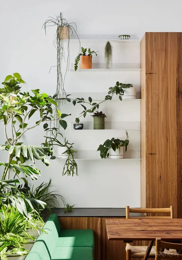 老旧建筑改造的空间里，有花园有阳光，因为他们终于对这里下手了