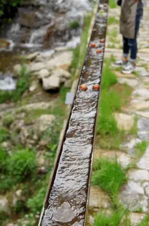新挖到的隐秘玩水地, 直接睡入山溪间! 还原宫崎骏动漫里的夏天, 秒回无拘束童年时光