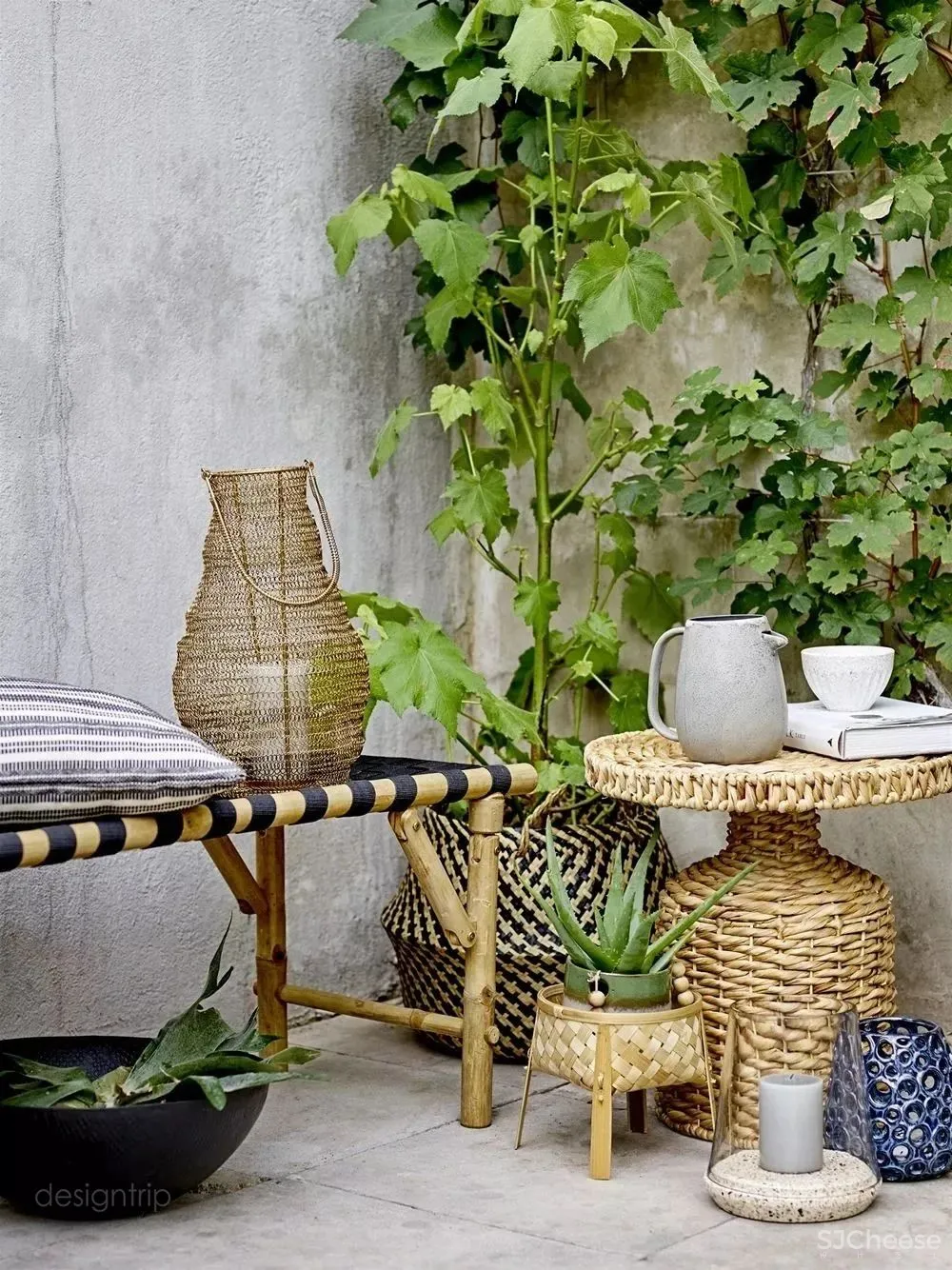 水泥墙，安之若素的静谧美学格调