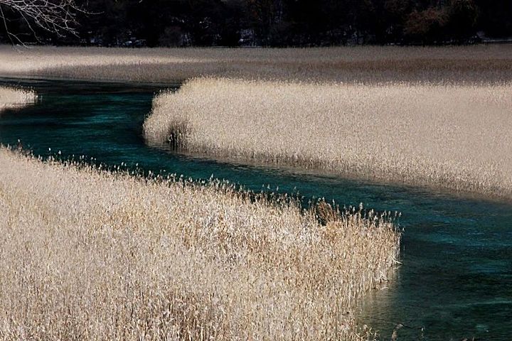 万科雁鸣湖,空灵静谧,心灵归栖