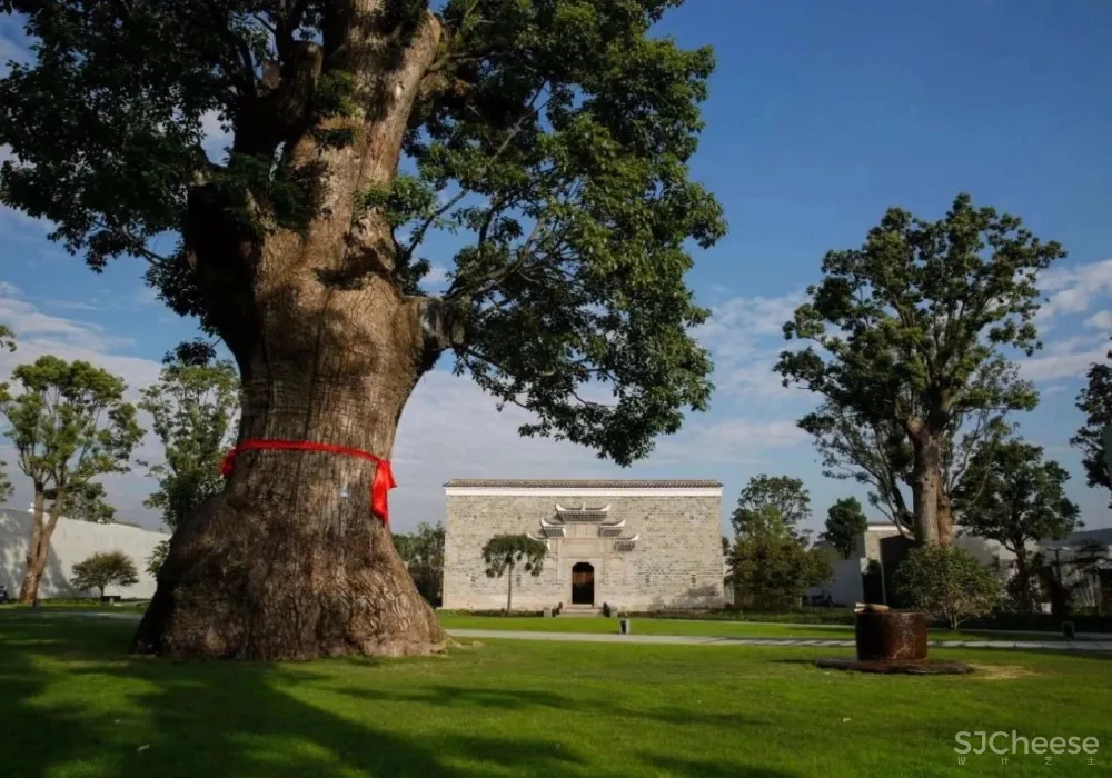 致敬传奇设计师Kerry Hill,为上海留下的唯一避世之作