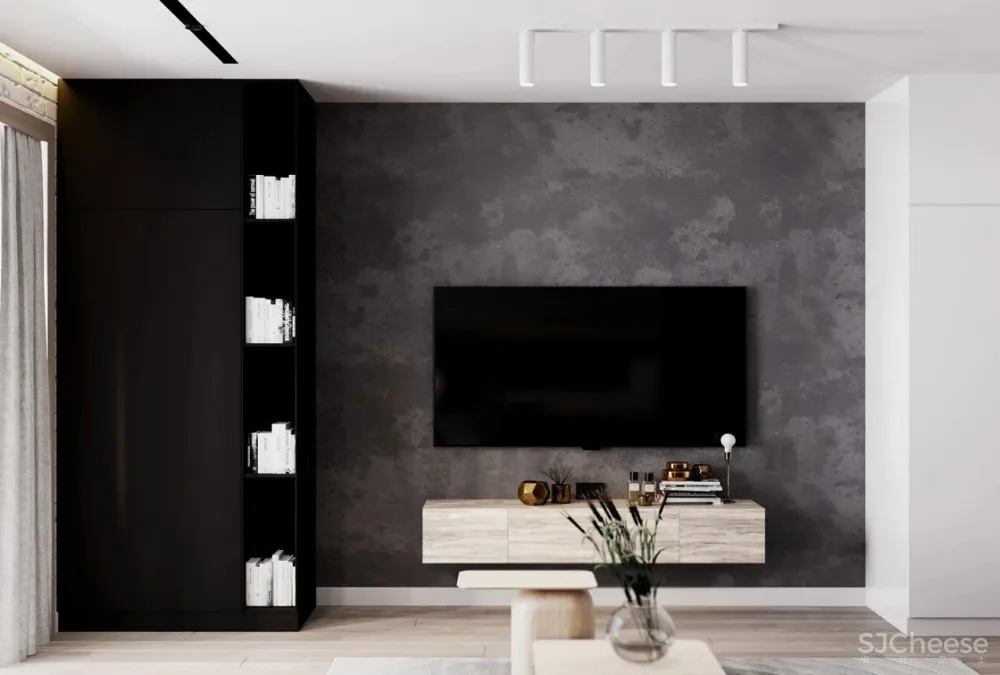 48㎡单身男人的地方,简约时尚!