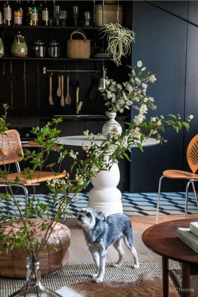 北京姑娘的63m²一室,满是植物标本、墨绿色彩!网友直呼:有仙气!