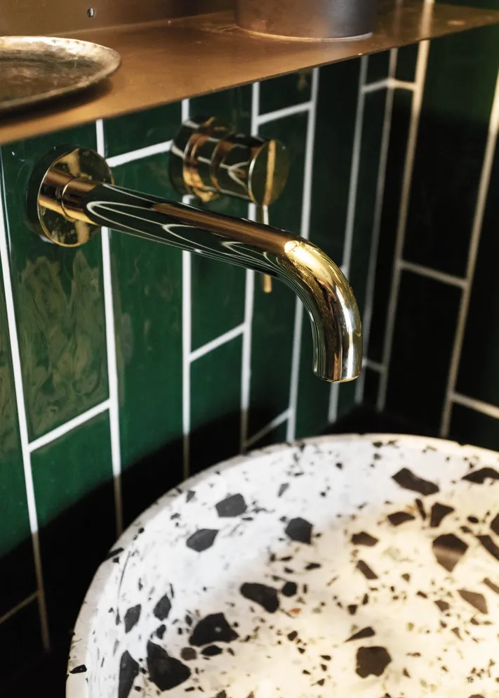 北京姑娘的63m²一室,满是植物标本、墨绿色彩!网友直呼:有仙气!