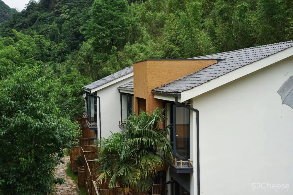 新挖到的隐秘玩水地, 直接睡入山溪间! 还原宫崎骏动漫里的夏天, 秒回无拘束童年时光