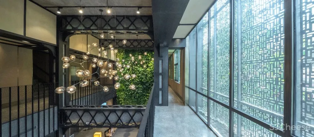 沈雷 × 张福记:用温暖的力量,使品牌深情