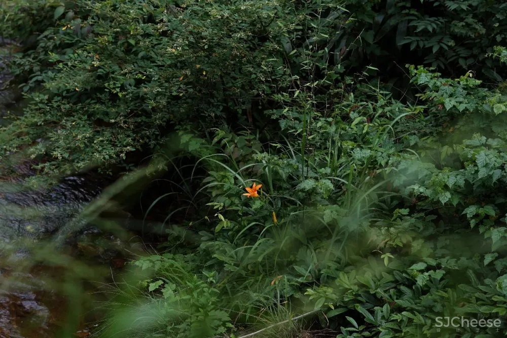 新挖到的隐秘玩水地, 直接睡入山溪间! 还原宫崎骏动漫里的夏天, 秒回无拘束童年时光