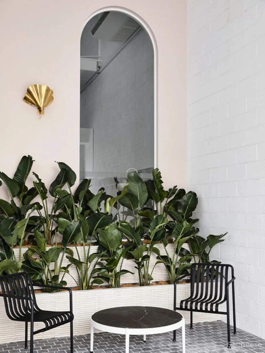 布里斯班 ARTEDOMUS 体验店 The Stella Collective 新作