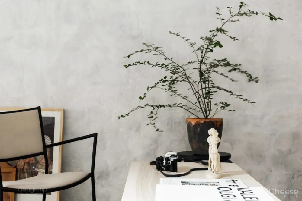 水泥墙，安之若素的静谧美学格调