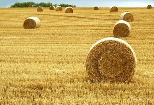 谁说幼儿园的设计千篇一律!看看这个与众不同的案例吧!