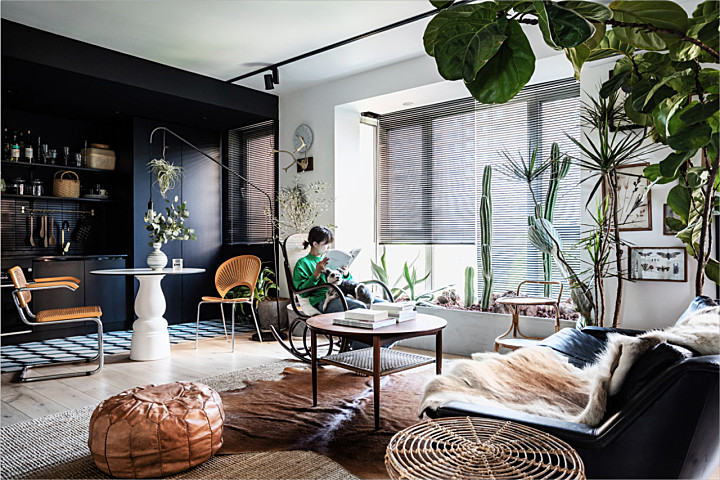 北京姑娘的63m²一室,满是植物标本、墨绿色彩!网友直呼:有仙气!