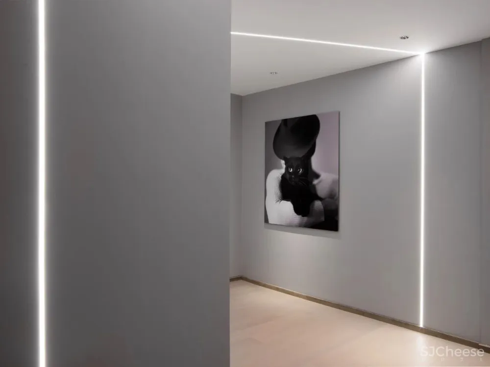 吕爱华新作 倒影