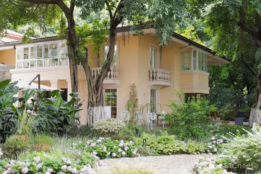 有光小旅馆:住进长江边的微型度假小岛,收获24小时不间断的“小确幸”