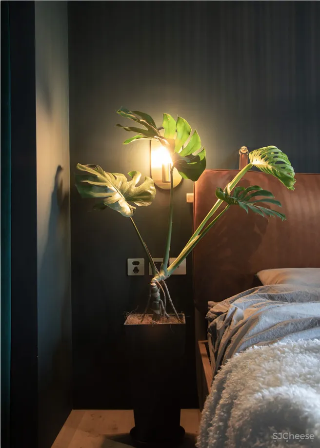 北京姑娘的63m²一室,满是植物标本、墨绿色彩!网友直呼:有仙气!