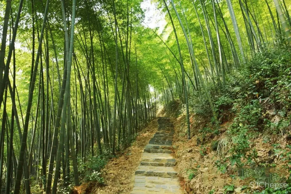 高铁仅0.5h,中国版「濑户内海」凭什么吸引年轻人疯狂打卡?