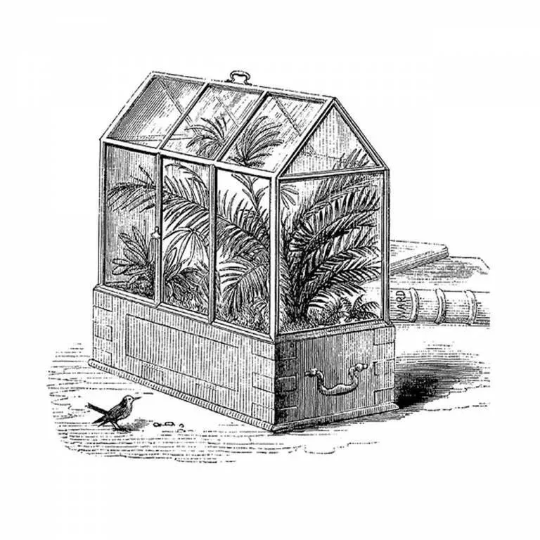 爆红的垂直森林,却被吐槽「蚊虫太多」「物业太贵」,阳台还是点到为止的绿化靠谱