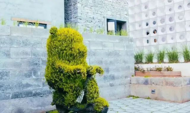 《亲爱的客栈》同款“神仙民宿”,让我睡死在里面吧!