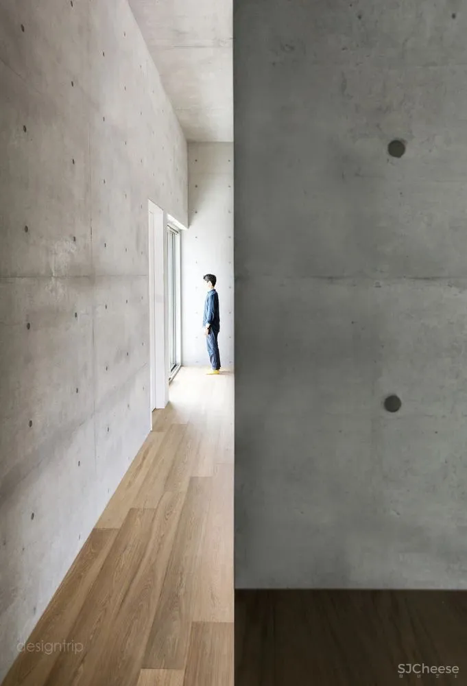 水泥墙，安之若素的静谧美学格调