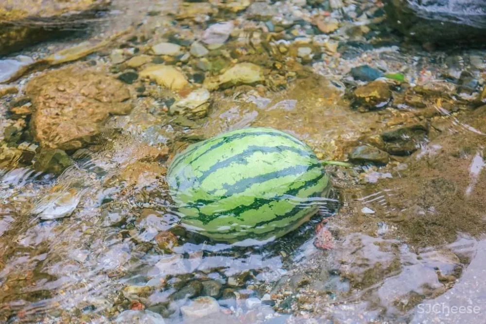 新挖到的隐秘玩水地, 直接睡入山溪间! 还原宫崎骏动漫里的夏天, 秒回无拘束童年时光