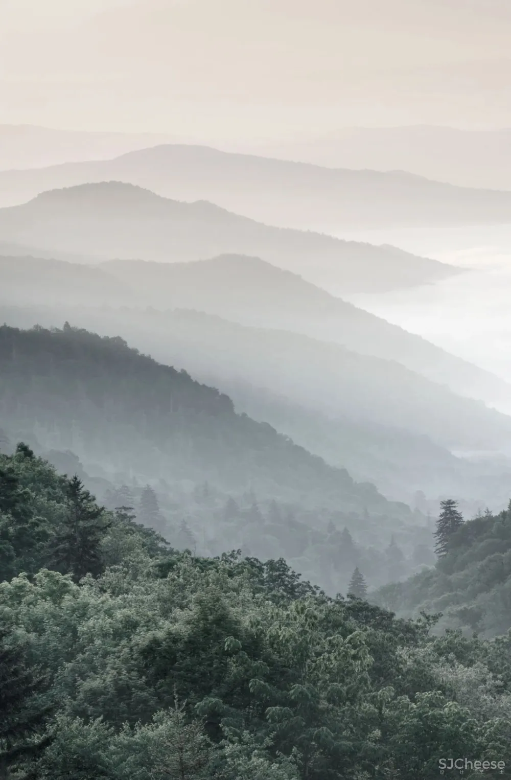 唤醒诗意的售楼中心——月印万川丨隐屏带你隐逸山居