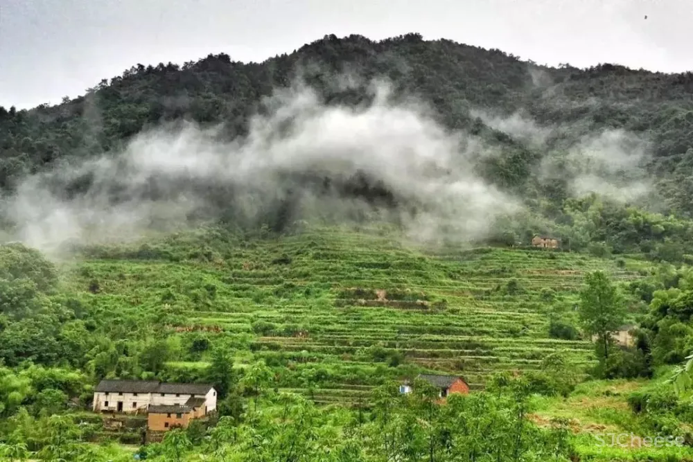 高铁仅0.5h,中国版「濑户内海」凭什么吸引年轻人疯狂打卡?