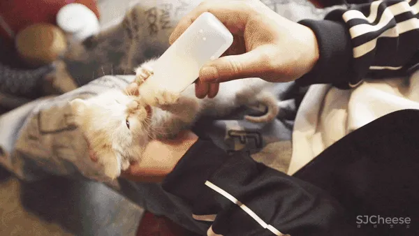 北京宅男一个人住5层别墅,却只睡1米的床