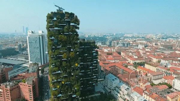 爆红的垂直森林,却被吐槽「蚊虫太多」「物业太贵」,阳台还是点到为止的绿化靠谱