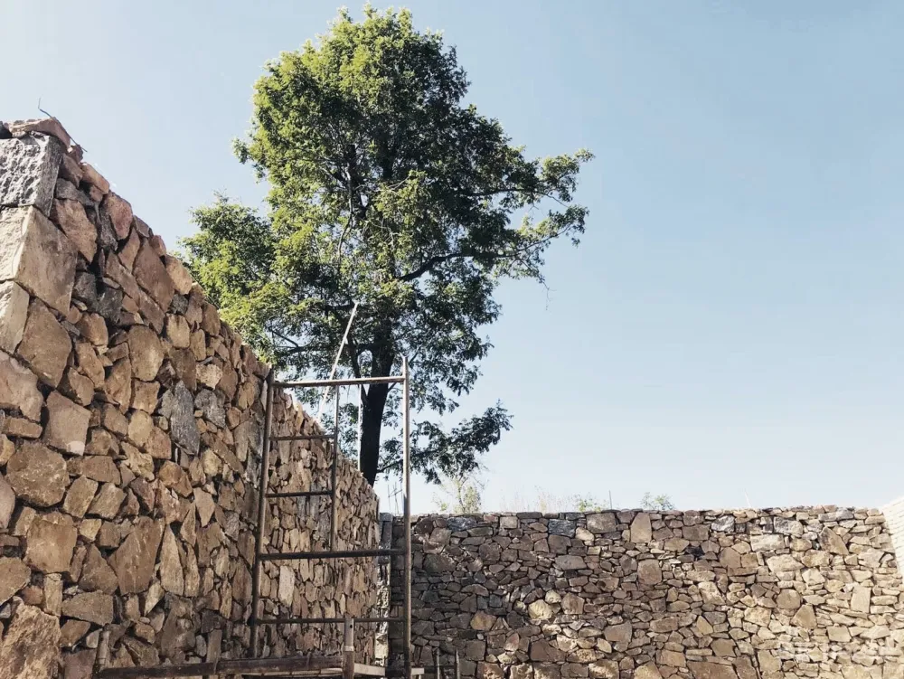 磐舍／DK大可设计