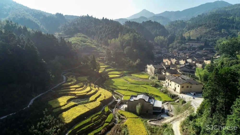 水田里的“网红”书店 先锋厦地水田书店