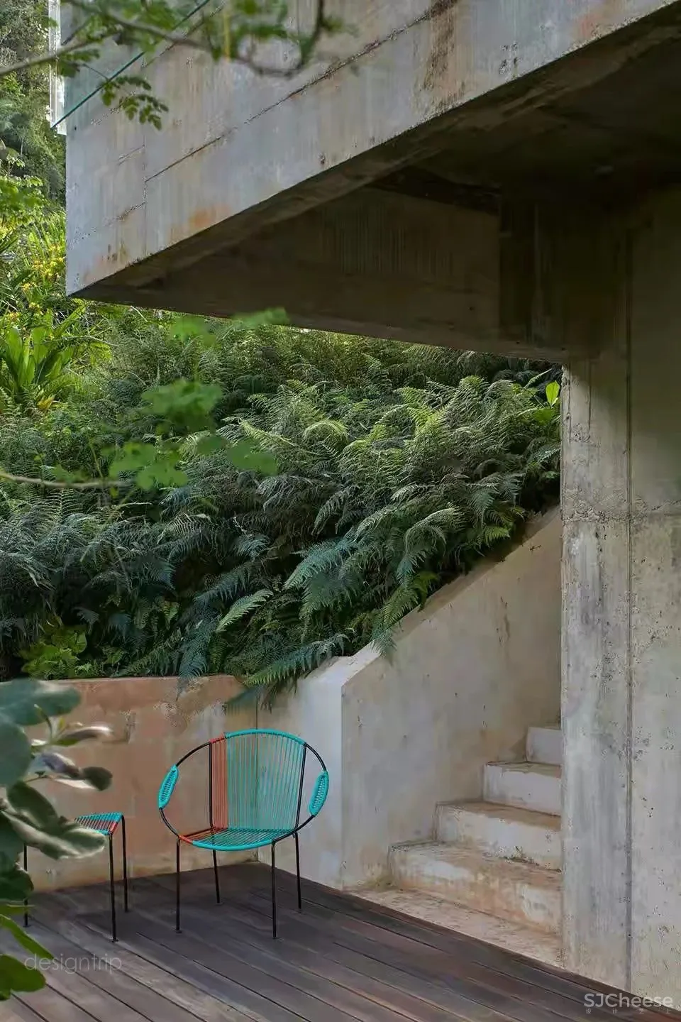 水泥墙，安之若素的静谧美学格调