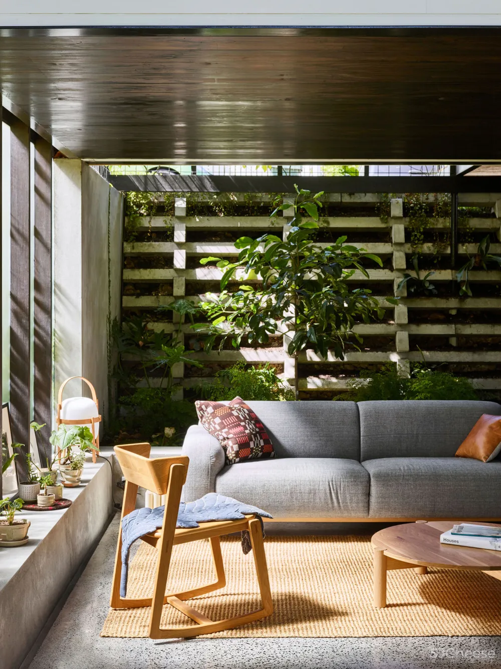 挑空设计 超大植物墙,这个家简直太「绿」了!