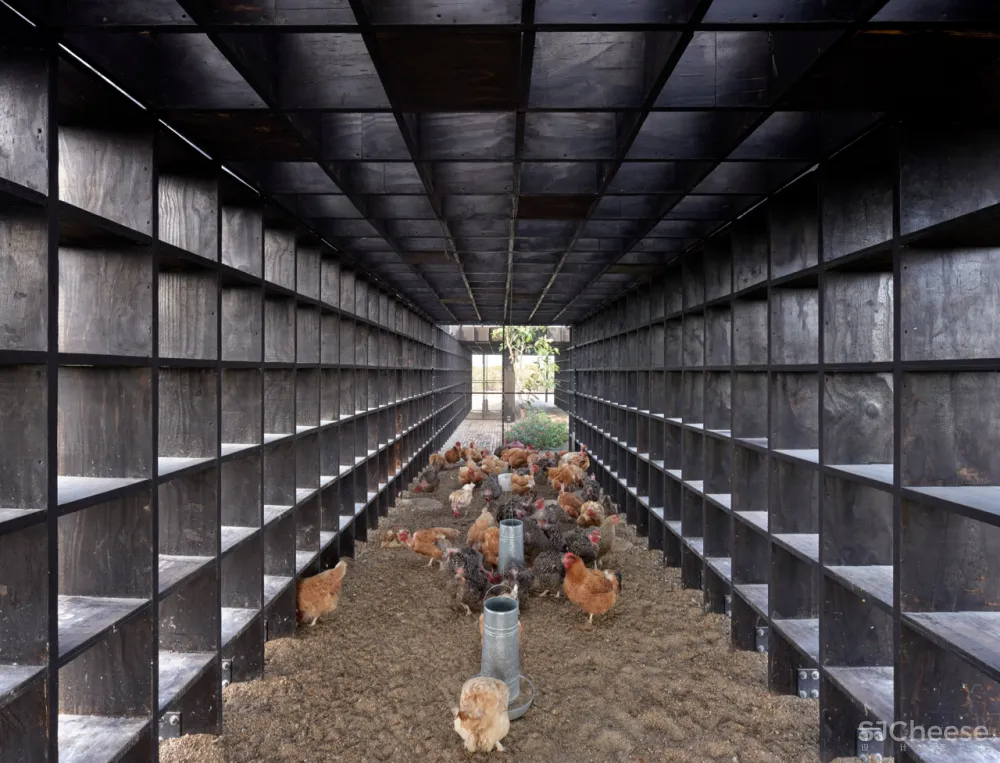 隈研吾、Snøhetta、OMA新作大赏