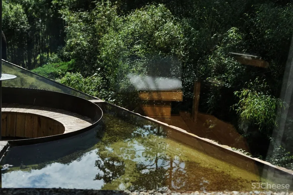 新挖到的隐秘玩水地, 直接睡入山溪间! 还原宫崎骏动漫里的夏天, 秒回无拘束童年时光