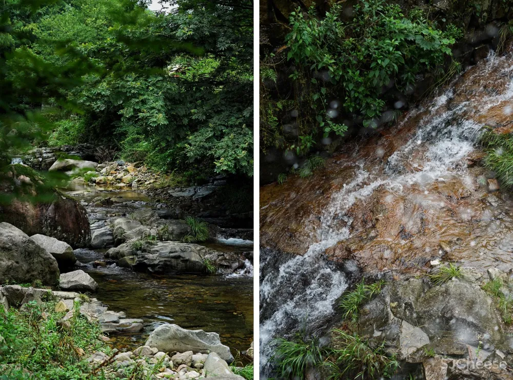 新挖到的隐秘玩水地, 直接睡入山溪间! 还原宫崎骏动漫里的夏天, 秒回无拘束童年时光
