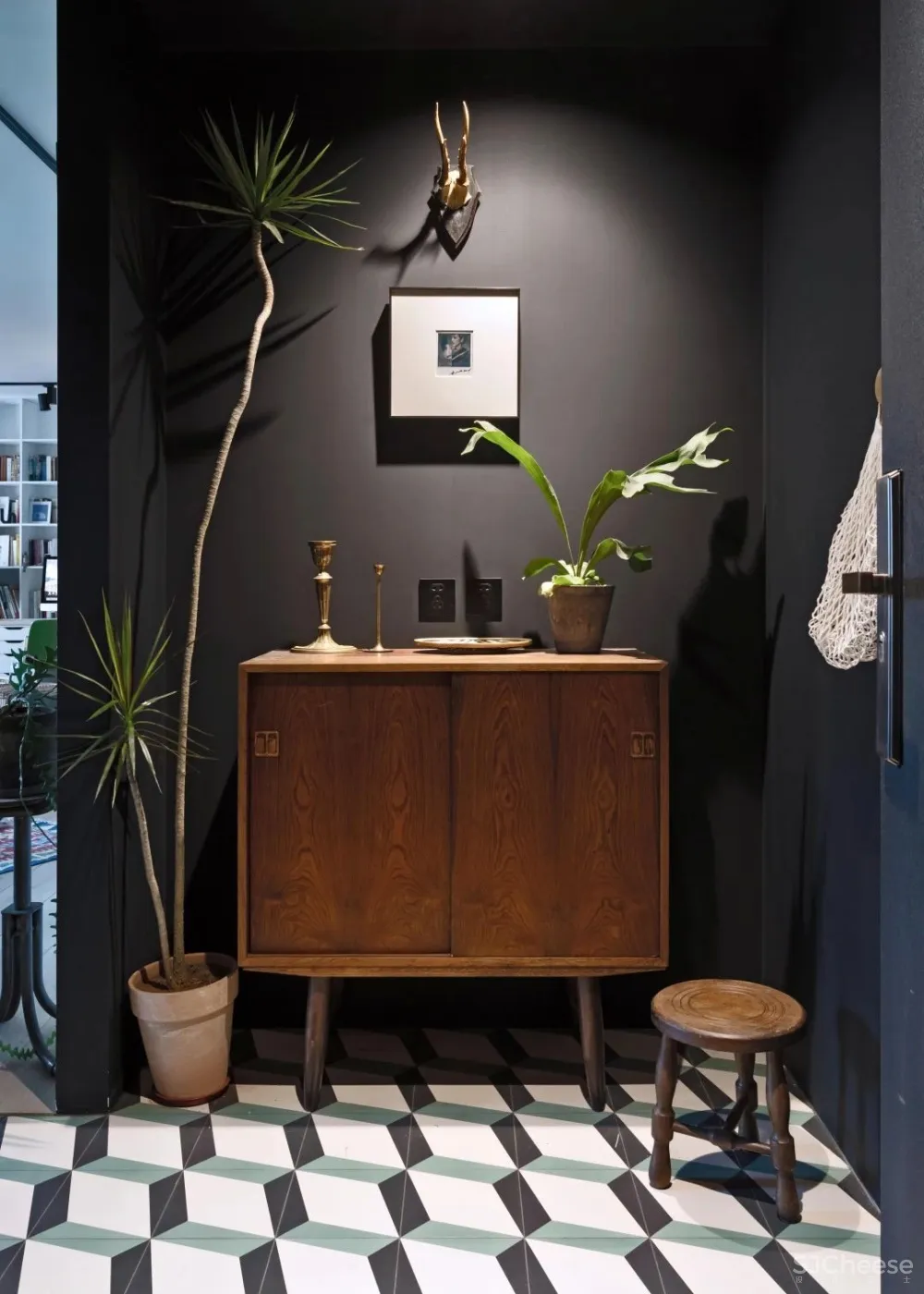 北京姑娘的63m²一室,满是植物标本、墨绿色彩!网友直呼:有仙气!