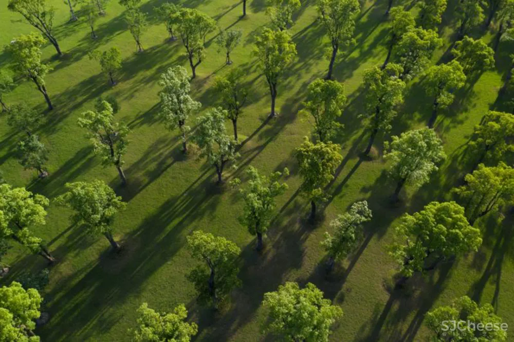 致敬传奇设计师Kerry Hill,为上海留下的唯一避世之作