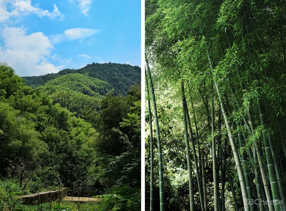 新挖到的隐秘玩水地, 直接睡入山溪间! 还原宫崎骏动漫里的夏天, 秒回无拘束童年时光