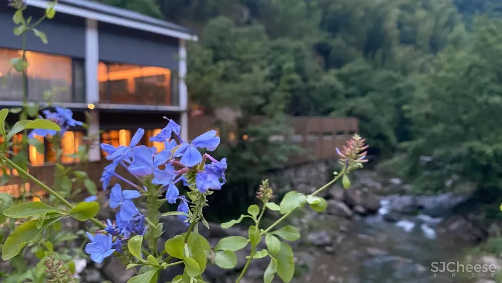 新挖到的隐秘玩水地, 直接睡入山溪间! 还原宫崎骏动漫里的夏天, 秒回无拘束童年时光