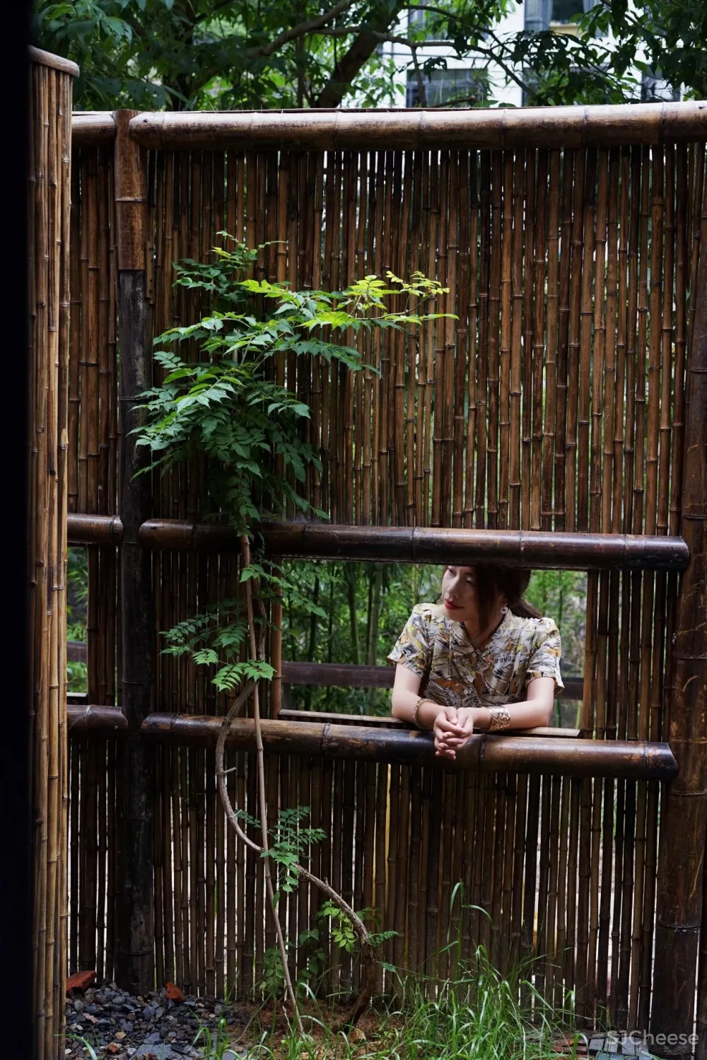 新挖到的隐秘玩水地, 直接睡入山溪间! 还原宫崎骏动漫里的夏天, 秒回无拘束童年时光