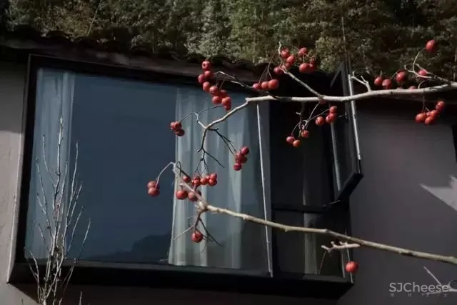 高铁仅0.5h,中国版「濑户内海」凭什么吸引年轻人疯狂打卡?