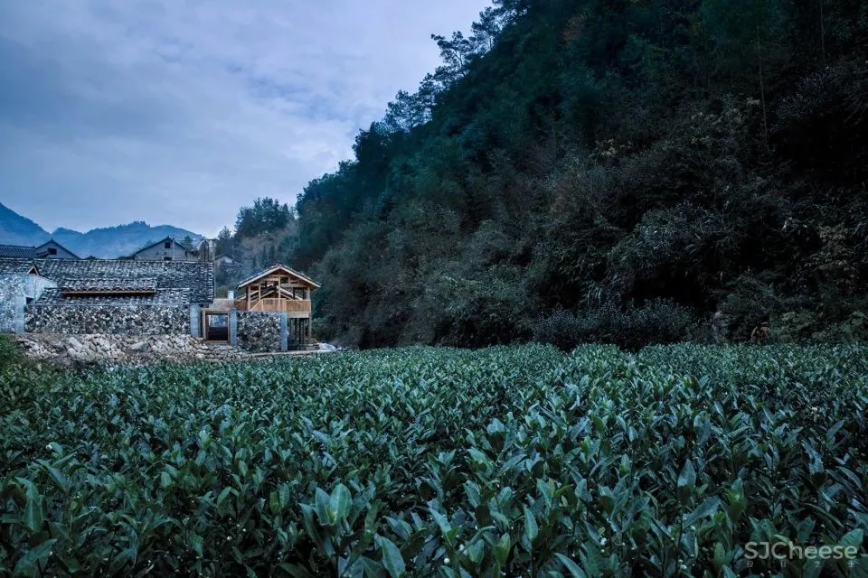 乡建如何不落俗套?15个最佳乡村建筑!