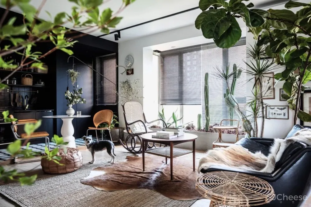 北京姑娘的63m²一室,满是植物标本、墨绿色彩!网友直呼:有仙气!