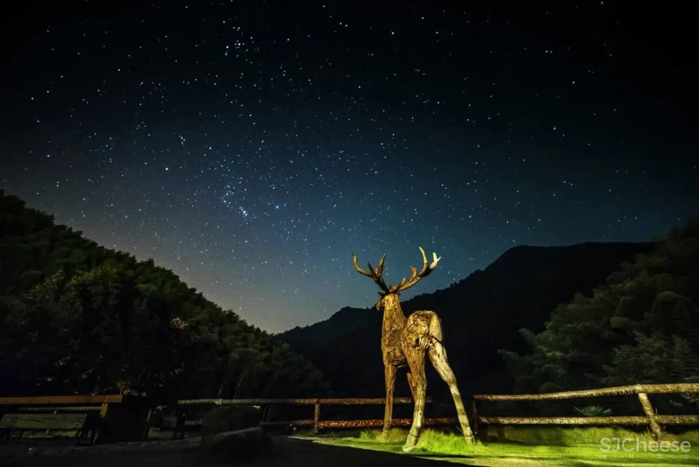 高铁仅0.5h,中国版「濑户内海」凭什么吸引年轻人疯狂打卡?