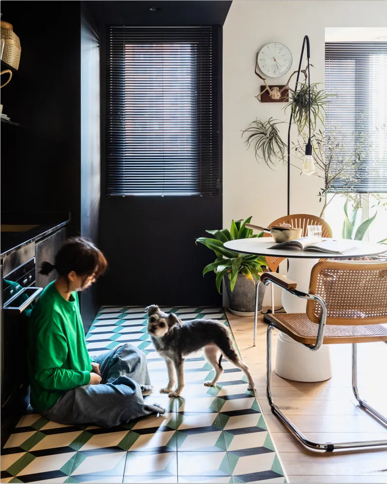 北京姑娘的63m²一室,满是植物标本、墨绿色彩!网友直呼:有仙气!